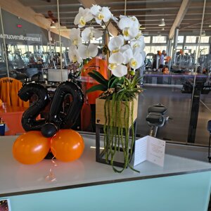 whatsapp%20image%202026-02-02%20at%2013.29.15.jpeg whatsapp%20image%202026-02-02%20at%2013.29.15.jpeg