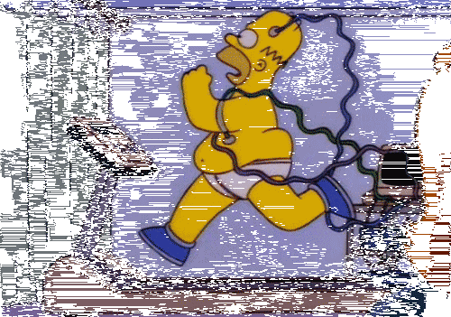 giphy.gif