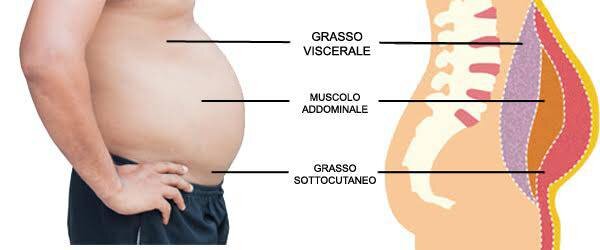 grasso-viscerale-573839.large.jpg