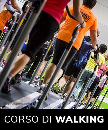 Il Walking Program
