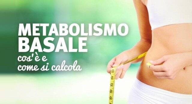 Il metabolismo basale