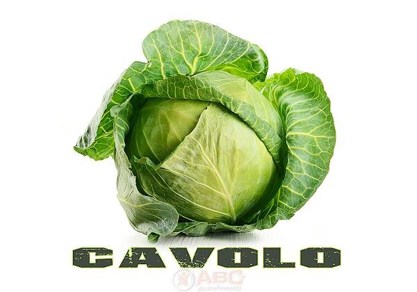 Cavolo, l&rsquo;alleato della nostra salute