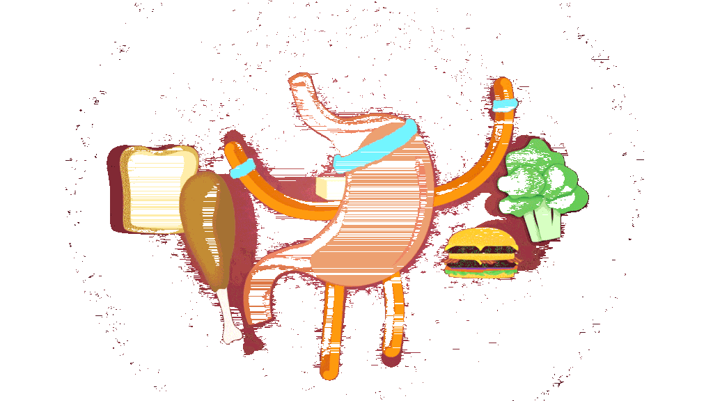 0249-boddities03-1024x576.gif