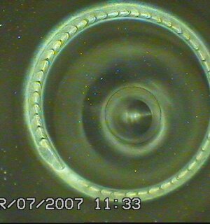 1eef43cb-24a4-42fd-a12d-6116a7668880