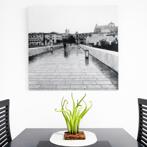 davide penso murano glass hand made seaweed image 17 gen 2026, 12_09_17