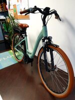 riese-muller-swing-city-my-2023-usata-garantita-test-bike-pochi-km