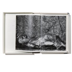 palermo-panorama-limited-edition-mauro-dagati