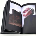 boris-mikhailov-in-search-of-window-of-opportunity-exodus