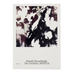 the-passing-photos-hamid-mosaddegh