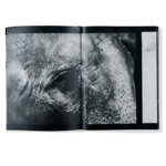 oniricus-mauro-dagati