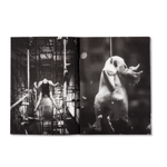 nomansland-tobias-ahlbrecht