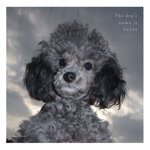 sakurai-ryuta-the-dogs-name-is-senta