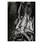 palermo-gilden-bruce-gilden