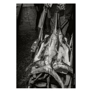 palermo-gilden-bruce-gilden