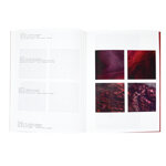 phantasia-syracusaine-ann-christine-woehrl-camille-laura-villet