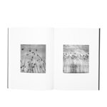 nico-adrian-holzl-das-schone