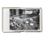 palermo-panorama-limited-edition-mauro-dagati