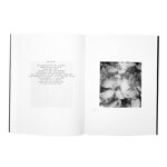 nico-adrian-holzl-das-schone