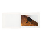 a-big-pickle-dean-snodgrass