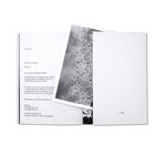 splinters-federico-arcangeli