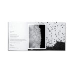 splinters-federico-arcangeli