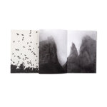 splinters-federico-arcangeli