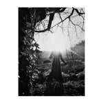 photographs-nerina-toci