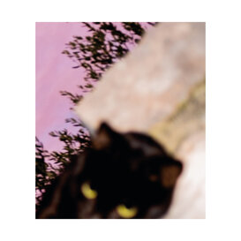 f8402af9-3a2c-48f8-aa5d-4eb252955da0