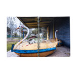 adriano-zanni-fauna-italiana