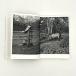 federico-borselli-you-will-find-me-if-you-want-me-in-the-garden