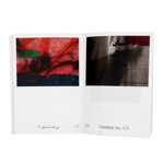 the-passing-photos-hamid-mosaddegh