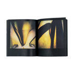 purple-isle-maps-on-the-skin