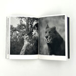 federico-borselli-you-will-find-me-if-you-want-me-in-the-garden