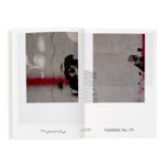 the-passing-photos-hamid-mosaddegh