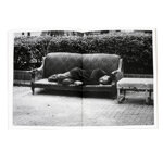 folioistanbul-thierry-clech