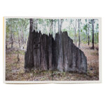 north-of-the-south-tim-hillier