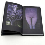 boris-mikhailov-in-search-of-window-of-opportunity-exodus