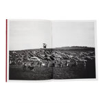 westmorland-county-show-conor-rollins