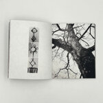 raffaella-arena-la-tua-forma-passo-di-qui