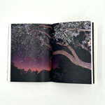 federico-borselli-you-will-find-me-if-you-want-me-in-the-garden