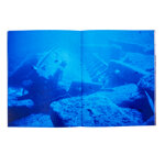 alfredo-damato-metaleli-bahri