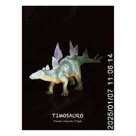 243f2d4d-d5b3-495e-bac8-3e10eaf1a44c