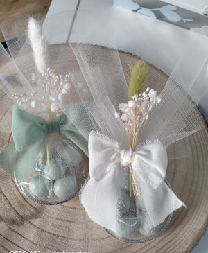 img20230325152516.jpeg img20230325152516.jpeg