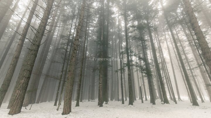 4d3669a4-a3ec-470e-8027-cea2413c80e3