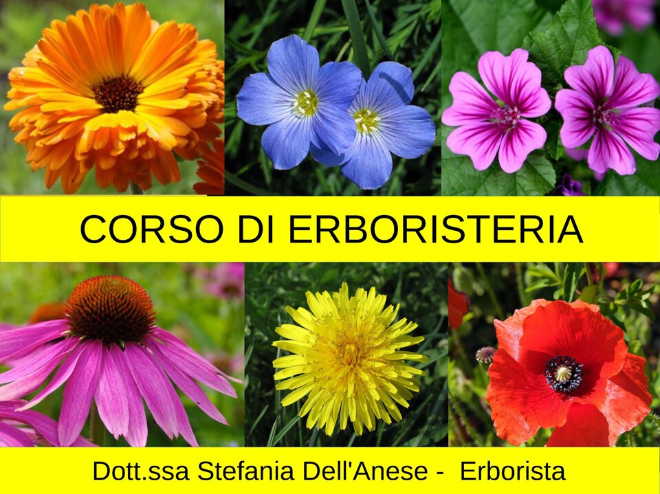 3dbd3c69-3720-4988-9393-dd045a624dc2