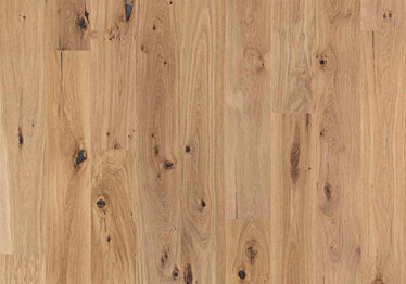 Rovere blonde
