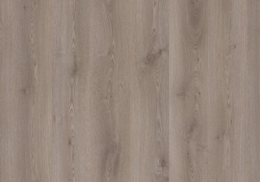 oak - grey