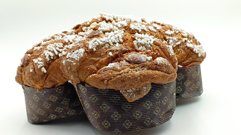 colomba-classica