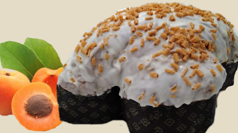 colomba-con-albicocche