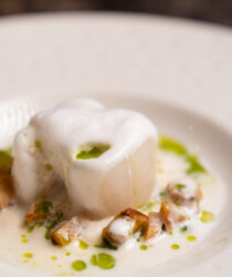 whatsapp image 2026-02-07 at 18.55.15.jpeg